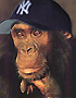 ZippyTheChimp's Avatar