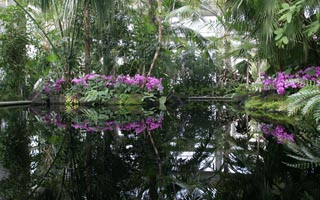 New York Botanical Garden