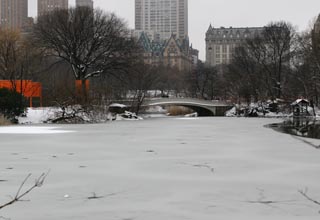 Bow Bridge