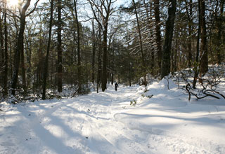 Cross-country skiing in Fahnestock Winter Park