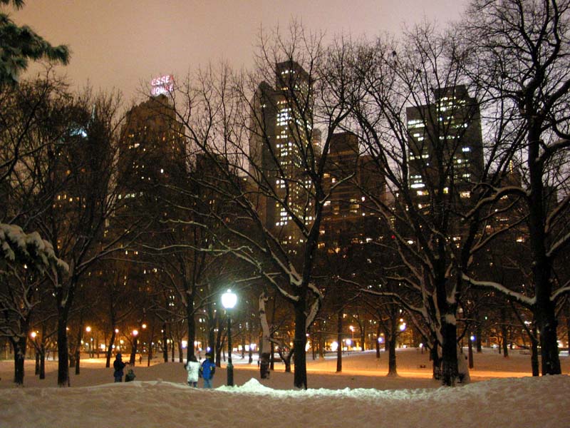 Snow in Central Park and the pink sky of Midtown 5 December 2002