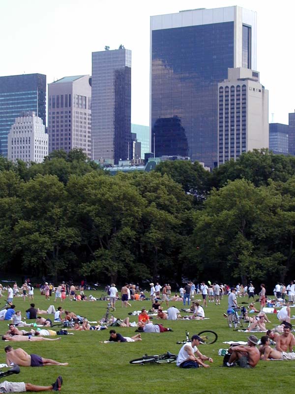 Central Park's Sheep Meadow with the Solow Building