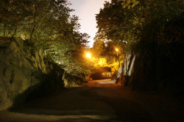 Rifstone Arch Central Park