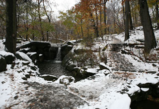 Ravine